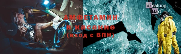 гидра Вяземский